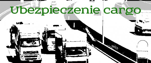 Ograniczenie ryzyka w transporcie towarów - mra